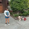 waggingworld