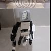 legoposerardix