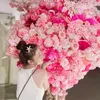 sine_nguyen