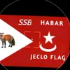 iskaaeeg