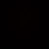 lolo_305