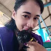 kucing_balikpapan.kaltim