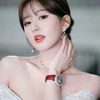🐰ZhaoLusi🐰