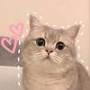 kitteymia