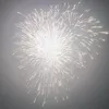 zzaa2288