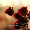 dy6oao6t3len