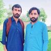 malikqayom31