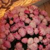 nanaabd_