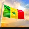 omarcoly.aliace.le