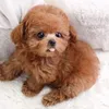 lani_mummy