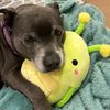 brady_280_