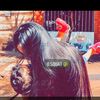 rooza_d