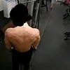 viktrax