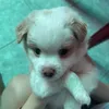 Đẻ tiếp thì đổi tên 👌