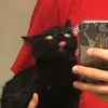 geraltsheadtilt