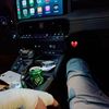 mghol._28
