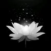 m.shin674