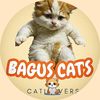 bagus_cats25
