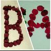 amon_687