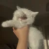 ruuuuuuuuuuuuu0