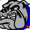 churchillbulldogshockey