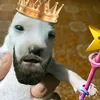 zi0leczko_