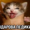 mochniesiskepupbgm