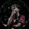 alejandro__d.b