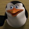 one_jokester
