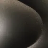 the_moon_is_let