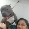 tosadora23