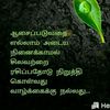 user8792098230527