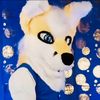 ritsukitsune1