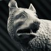 wolf.bxxch