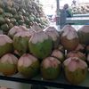 Kelapa Bang Pudin Pik