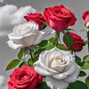 nurr.asiyah_