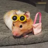 chaesx3
