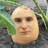br0di444
