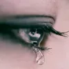 hong_gam50