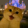 anyamiaww