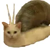 uwuwuwuwuwuwuqwq
