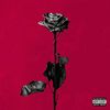 rosesareprettiest