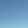 nathu_103