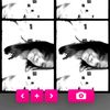 yvonne_ocha