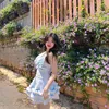 ani_aniie
