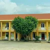 nisuri_0507