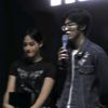 xwolfiebear