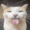 sploinkles