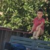 hamzaahmad1447
