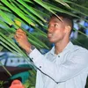 hassanmeynaso